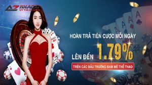 179Bet - Sân chơi cá cược trực tuyến hàng đầu Châu Á