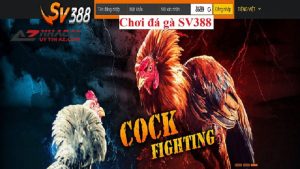 Sv388 - Nhà cái đá gà uy tín nhất Châu Á và Việt Nam
