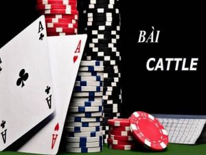 Giới thiệu về game bài Catte thú vị mà bạn có thể quan tâm