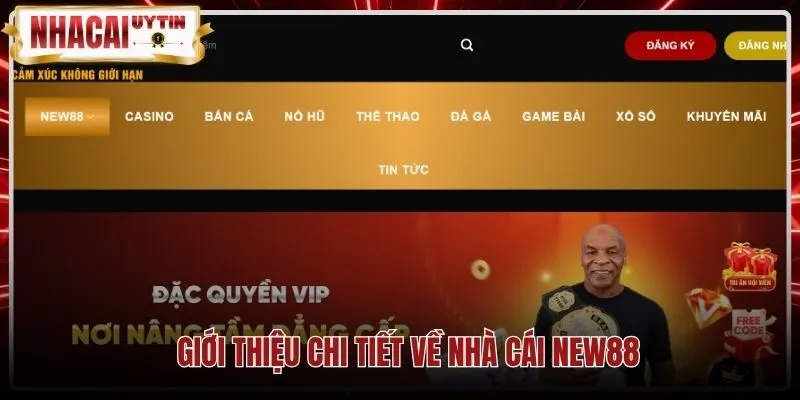 gioi-thieu-chi-tiet-ve-nha-cai-new88 Giấy phép PAGCOR quốc tế cùng chứng nhận bảo mật New88