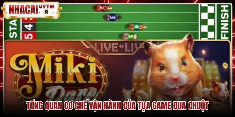 tong-quan-co-che-van-hanh-cua-tua-game-dua-chuot Cơ chế thuật toán ngẫu nhiên trong trò chơi Đua chuột